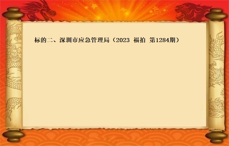 标的二、深圳市应急管理局报废资产